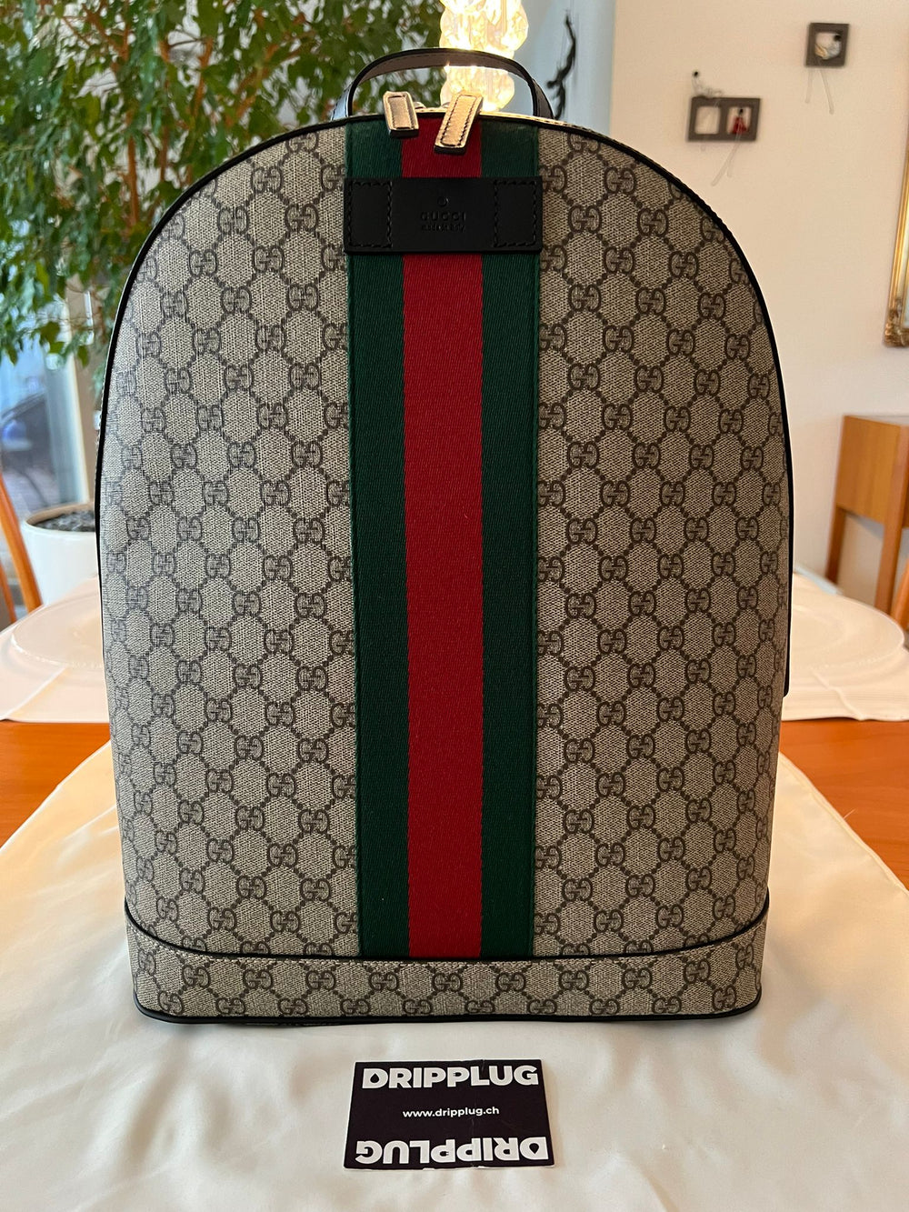 Gucci Backpack Zip Top GG Supreme Web Detail