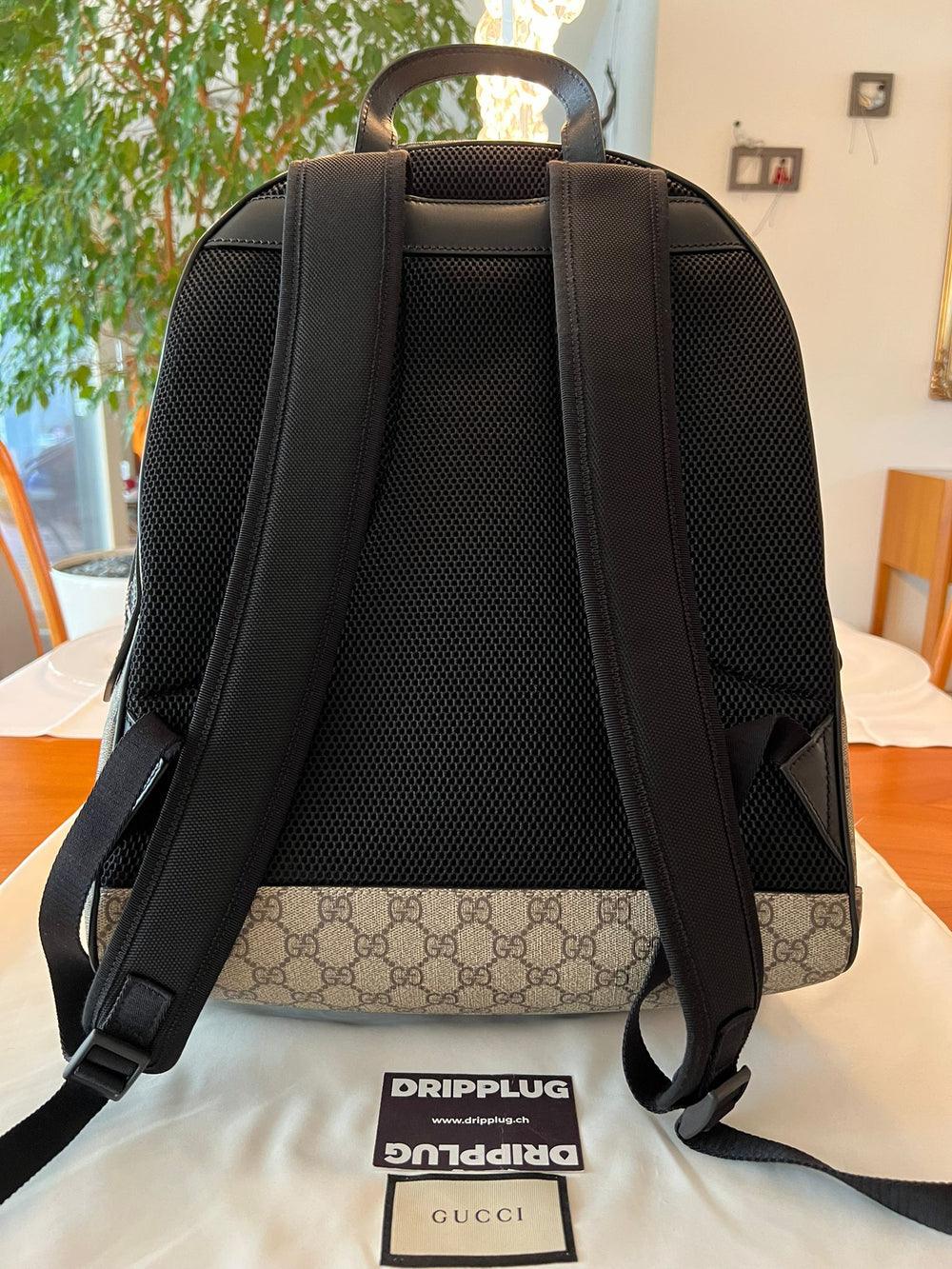 Gucci Zaino Zip Top GG Supreme Web Detail