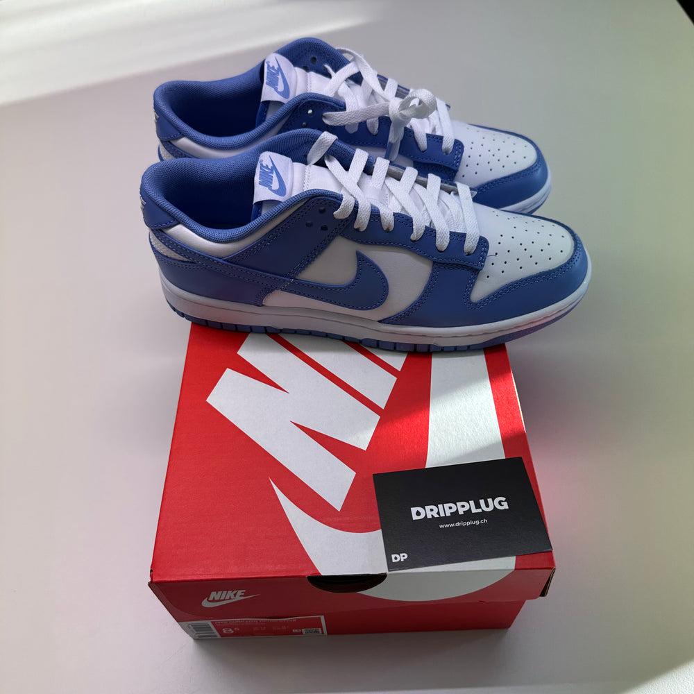 Nike Dunk Low Polar Blue