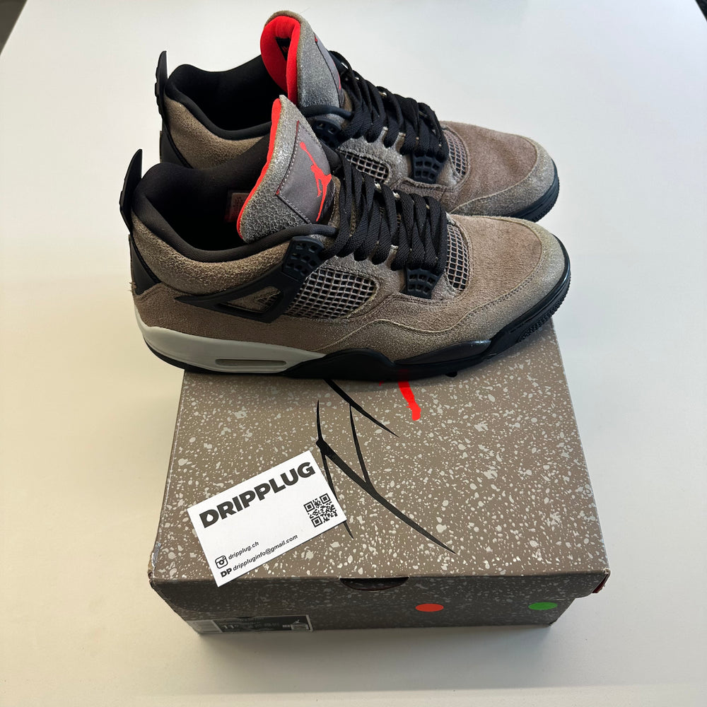 Air Jordan 4 pigeon haze