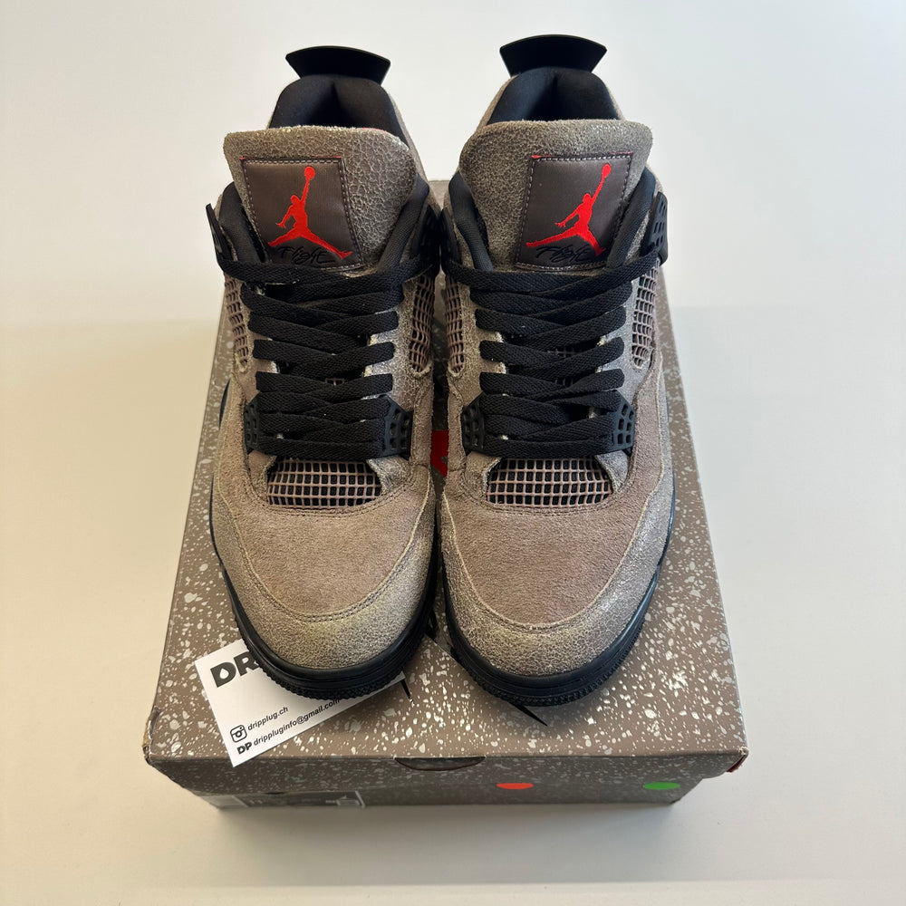 Air Jordan 4 pigeon haze